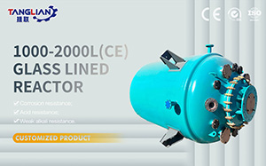 1000-2000L CE Type Glass Lined Reactor