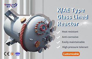 K/AE Type Glass Lining Reactor