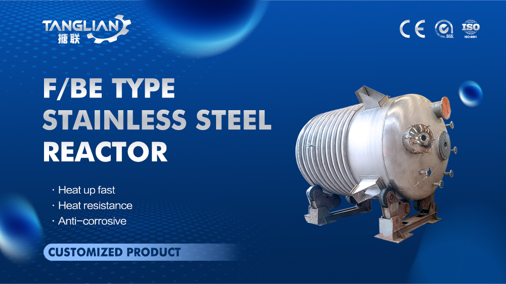 F/BE Type stainless steel reactor for chemicals