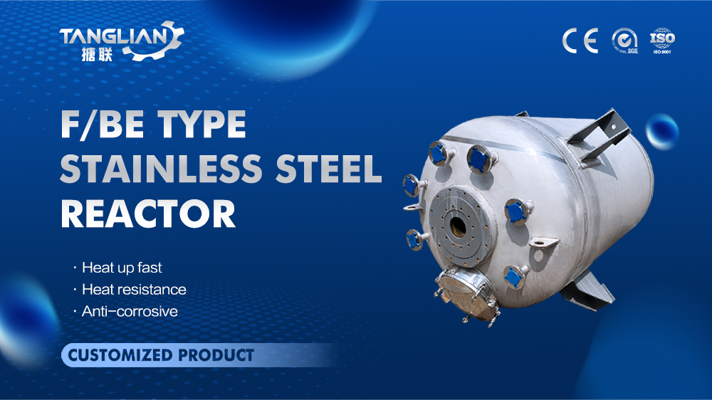 F/BE Type stainless steel reactor for chemicals